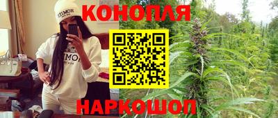 Альфа ПВП Славгород