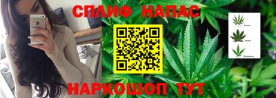 Альфа ПВП Славгород