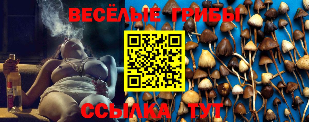 Нягань  Галлюциногенные грибы GOLDEN TEACHER  Вход с VPN 